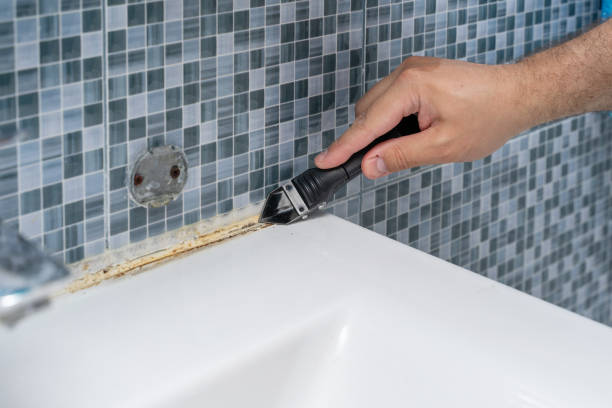 Best Affordable Mold Removal  in Harbour Heights, FL